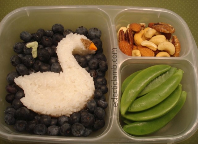 Swans-Swimming-Lunch