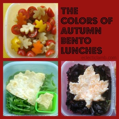 Autumn Bento Lunches