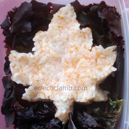 Leaf Shaped Carrot Rice
