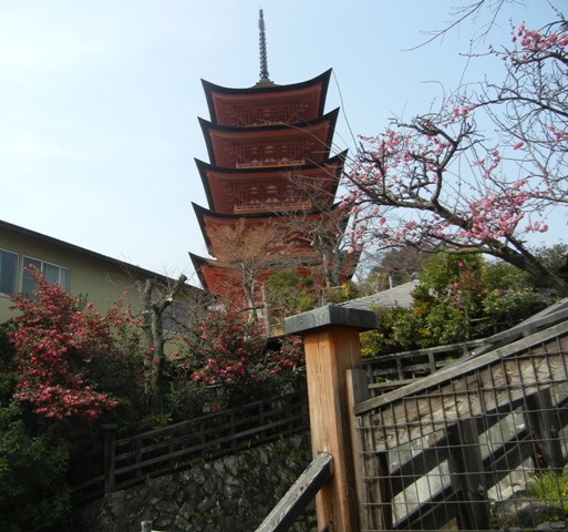 Miyajima Early Spring