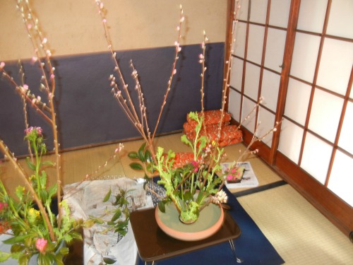 arrangements in progress 1