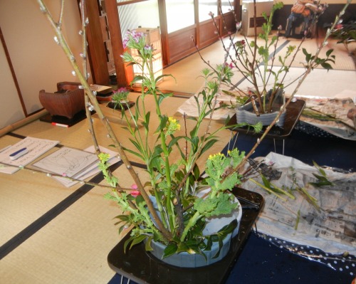 Arrangements in Progress