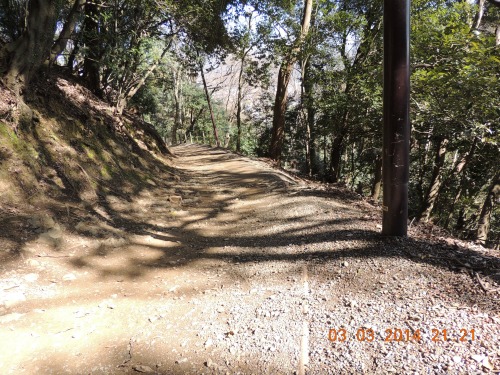 Climbing Mountain to Monkey Park