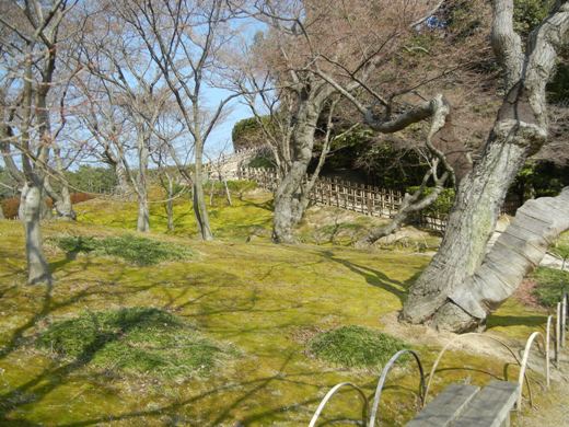 Korakuen Early Spring