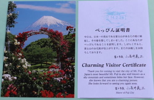 Fuji Shy Certificate