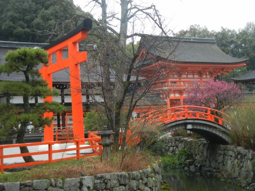 Another View Shimogamo Shrine