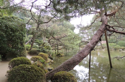 Garden at Heian Shrine
