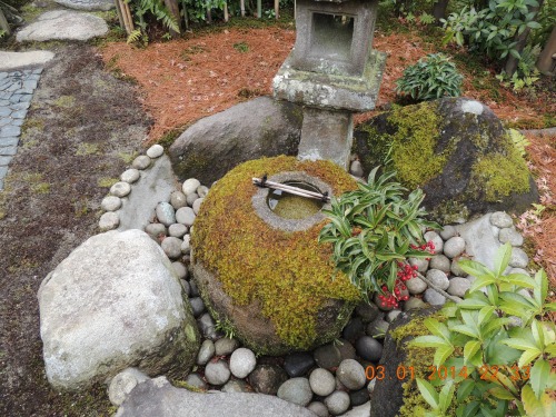 Japanese Garden