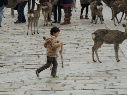 Kid with Deer Nara