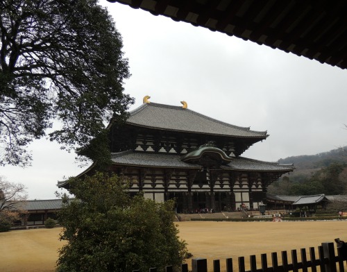 Nara Buddah Building