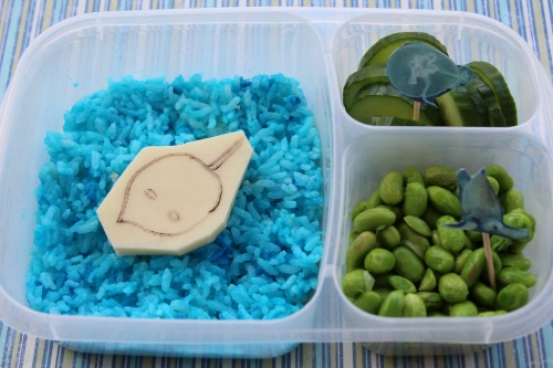 Osaka Aquarium Lunch