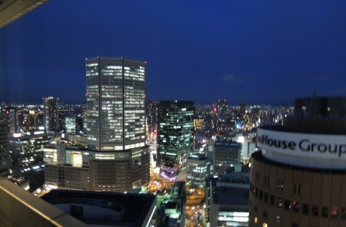 Osaka Night