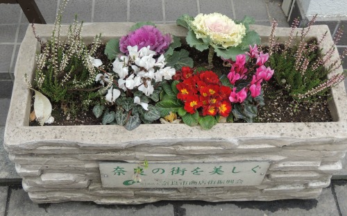 Planter in Nara