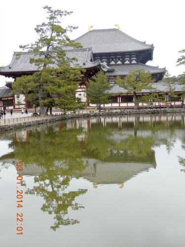 Reflection Nara