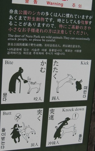 Sign Warning about Deer