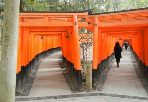 Tori Fushimi Inari-taisha