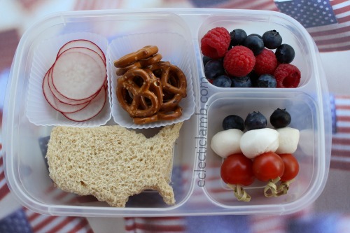 USA Red White Blue Lunch