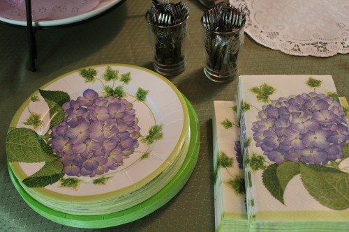 Paper Plates Napkins Miniature Forks