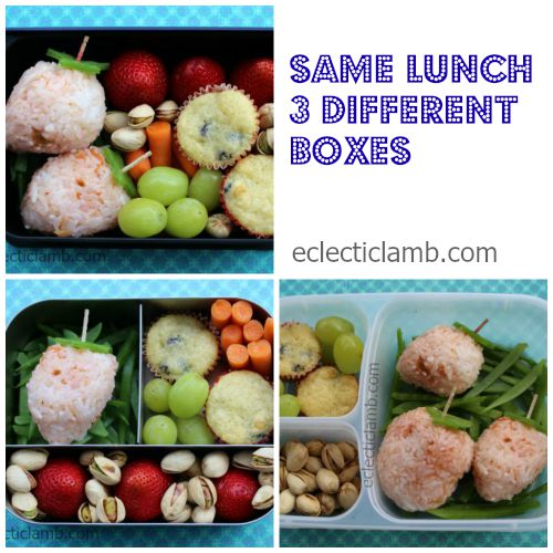 same lunch different boxes collage