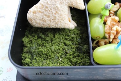 Fairy moss lunch close