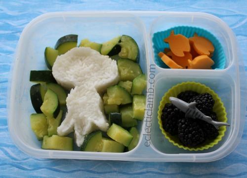 Jellyfish rice lunch