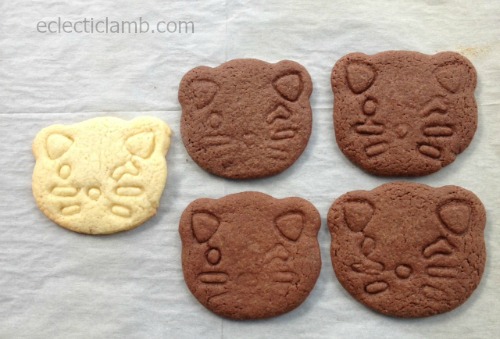 cat cookies after baking