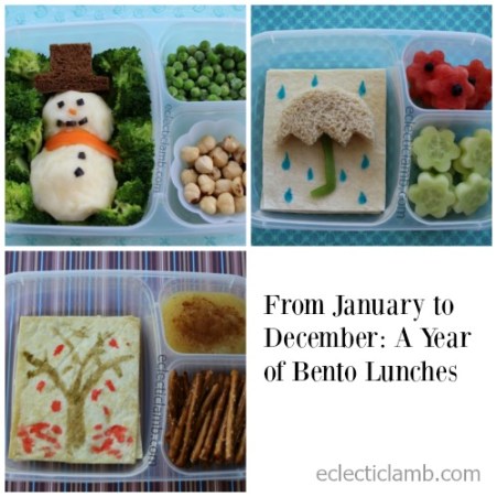 a-year-of-bento-lunches