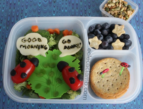 the-grouchy-ladybug-book-eric-carle-themed-lunch