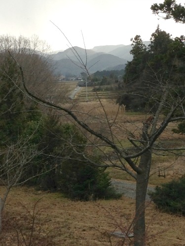 Sado Island near Toki park