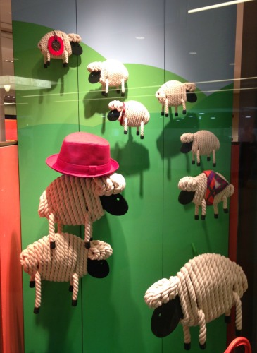 Sheep in Store Window