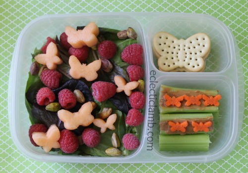 Butterfly Salad Lunch