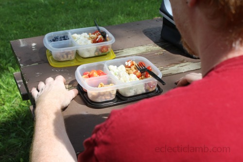 picnic lunch with companion