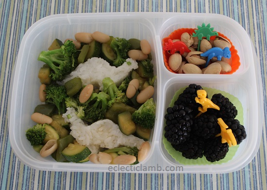 Dinosaur Rice for Lunch.jpg