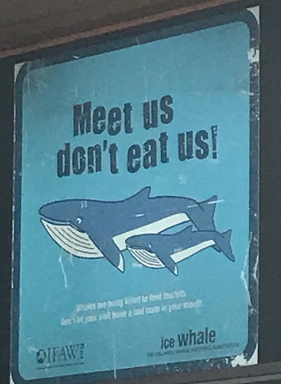Meet Us Don't Eat Us