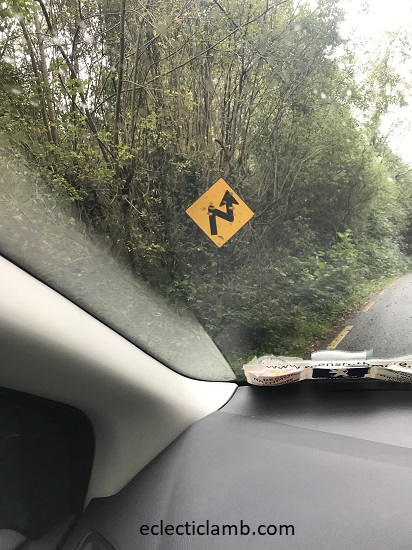 sharp curve road sign