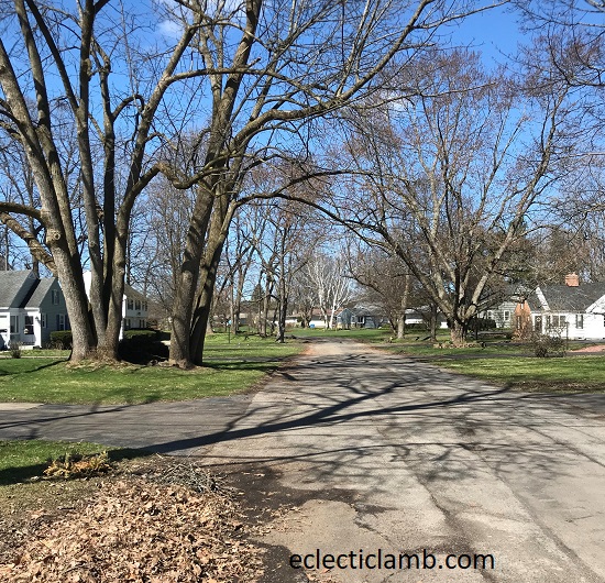 Branford area