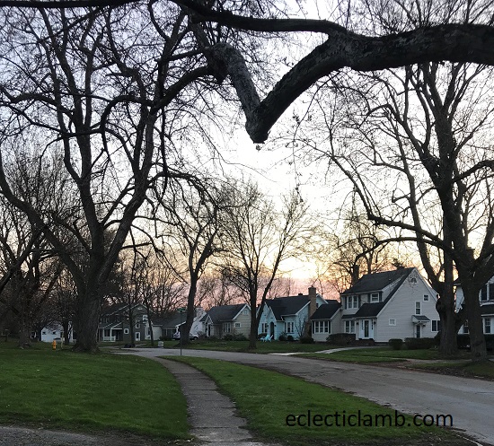 Brighton Neighborhood at Dawn