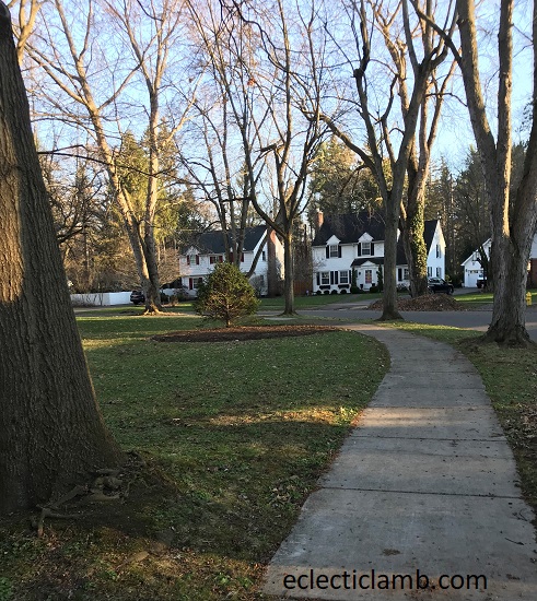 Brighton Neighborhood