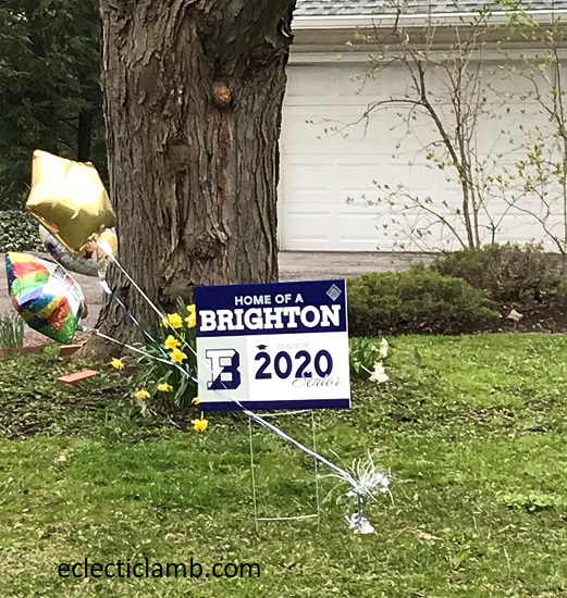 Brighton Senior 2020 Sign