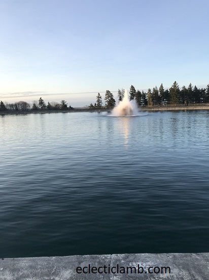Cobbs Hill Reservoir