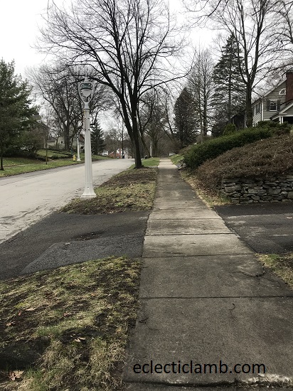 Winton Road Brighton